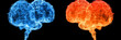 Two brains with blue and red flames