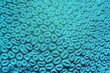 Organic texture of the hard honey comb coral . Abstract natural background.