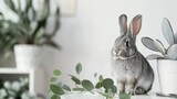 Fototapeta  - Portrait a funny cute gray bunny pets animal on a white background. AI generated image