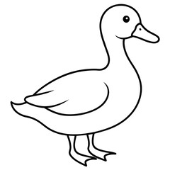 Wall Mural - duck