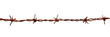 PNG Rusty barbed wire white background forbidden fence