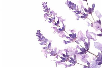 Poster - A vase filled with purple flowers on top of a table. Ideal for home decor or floral themes