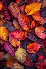 Aufkleber - Detailed view of a group of leaves. Suitable for nature concepts