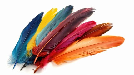 Poster - Vibrant feathers displayed on a clean white background. Suitable for various design projects