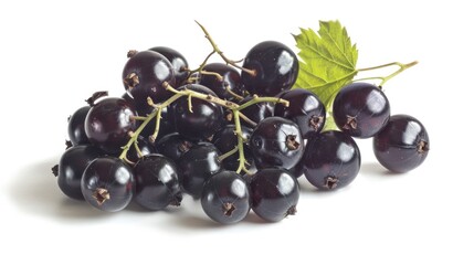 Poster - Fresh black grapes with leaves, perfect for food and wine-related designs