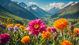 Fototapeta Natura - Beautiful flowers, mountains in the background sunshine