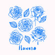 Rose flower vector illustration. Poster design