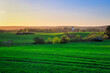 Landscape of the green fields in northern Poland at spring time.