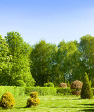 Fototapeta Na ścianę - Landscaped park with a garden bed and various trees and shrubs on the lawn, evergreens and seasonal plants.