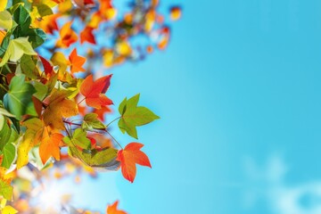 Aufkleber - Close-up of green leaves on a tree, perfect for nature backgrounds