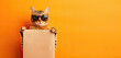 Cute Cat Wearing Sunglasses and Holding a Blank Sign with Space for Copy on an Orange Background