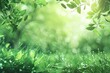 Sun shining through green foliage, ideal for nature themes