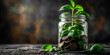 Savings Concept with Coin Plants Growing in a Jar and Black Background