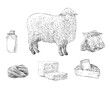 Products provided by sheep. Hand drawn farm animals sketch set. Vector art illustration.