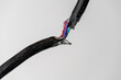 Broken black electric cord with red and electric blue wires intertwined. Damaged power electrical cable on white background, close up