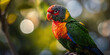 Generative AI illustration of rainbow lorikeet with vivid orange, green and blue plumage sits gracefully amidst a soft focus background