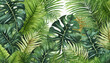 tropical leaves background, monstera, palm tree, coconut and fern green