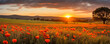 Poppy Fields. Sunset Blooms