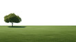 PNG Park green grass outdoors horizon ground