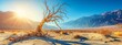 Solitary Dead Tree Stands in the Arid Desert Wasteland Under Harsh Sunlight