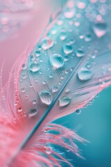 Poster - Close up of a feather with water droplets, suitable for nature or macro photography projects