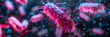 Bacterial Conjugation 3D Image,
3D illustration of bacteria germs

