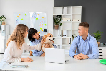 Sticker - Business people petting Corgi dog at table in office