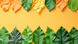 Vibrant green and yellow leaves natural frame background. Distinct and detailed. Veins and imperfections. Stark contrast colors and uniform.