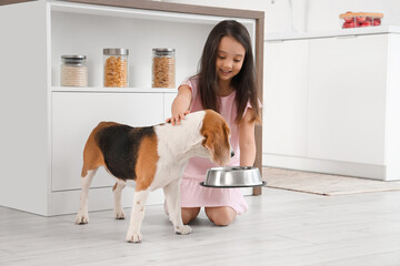 Canvas Print - Cute little Asian girl with bowl feeding Beagle dog in kitchen