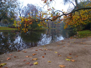 Wall Mural - Automne bois lac Amsterdam