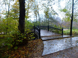 Wall Mural - Passerelle automne bois Amsterdam 