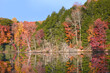 Autumn Glory in Bays Mountain Park