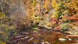 Creek Runs Through Fall Foliage