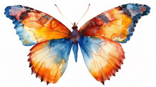 Watercolor Illustration Of A Butterfly Clipart Isolated. Colorful Tropical Butterflies For Design, Invitations, And Greeting Cards Over The White Backdrop.