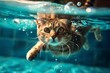A cat is swimming in a pool of water. Summer heat concept, background