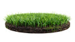 © Ziyan Yang - grass green circle land ground floor garden or garden earth soil land layer and green grass floor circle section land isolated on white background. 3d illustration render