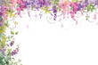PNG  Flower backgrounds pattern nature
