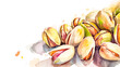 Heap of pistachio nuts on white background in the style of a watercolor drawing.