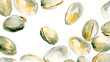 Scattered pistachios on a white background as food illustration. Imitation of a watercolor drawing.