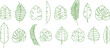 Palm leaf line icon, tropic tree, banana leaves, jungle plant, exotic foliage set outline design. Cartoon summer fern, botanical collection, simple green silhouettes. Hawaiian vector illustration