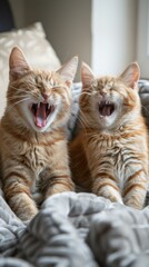 Wall Mural - Two orange cats laying on a bed with their mouths open. Generative AI.