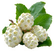  An HD image of a fresh noni fruit, its unusual, granular white skin, isolated on a Transparent background, PNG Cutout