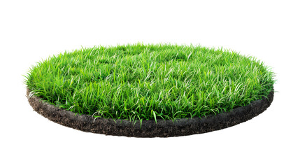 grass green circle land ground floor garden or garden earth soil land layer and green grass floor ci