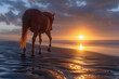 Breathtaking Sunset Horse Walk on Beach