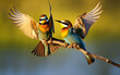 Two bee-eaters are mating on a branch in nature.