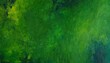 abstract painting background texture with dark olive green, moderate green and very dark green colors and space for text or image. can be used as header or banner