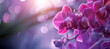 Beautiful purple orchid phalaenopsis background. Generative ai design concept.
