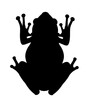 silhouette frog PNG transparent background