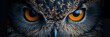 panorama the deep, dark eyes of an owl