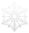 Geometric frozen star. Silver snow decorative element